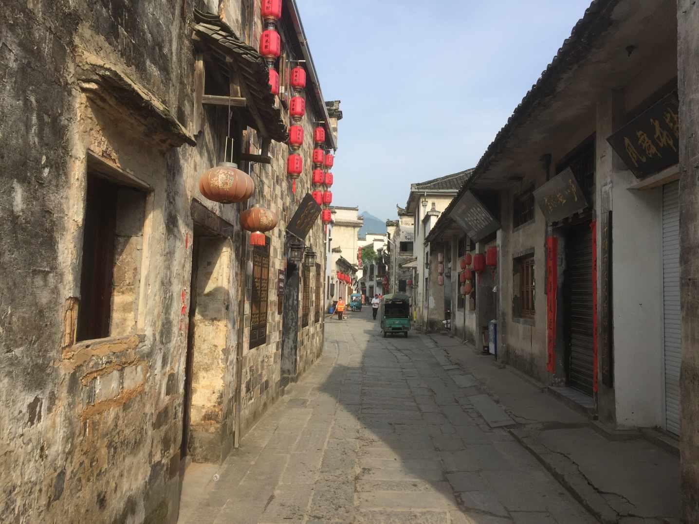 植物大战僵尸8